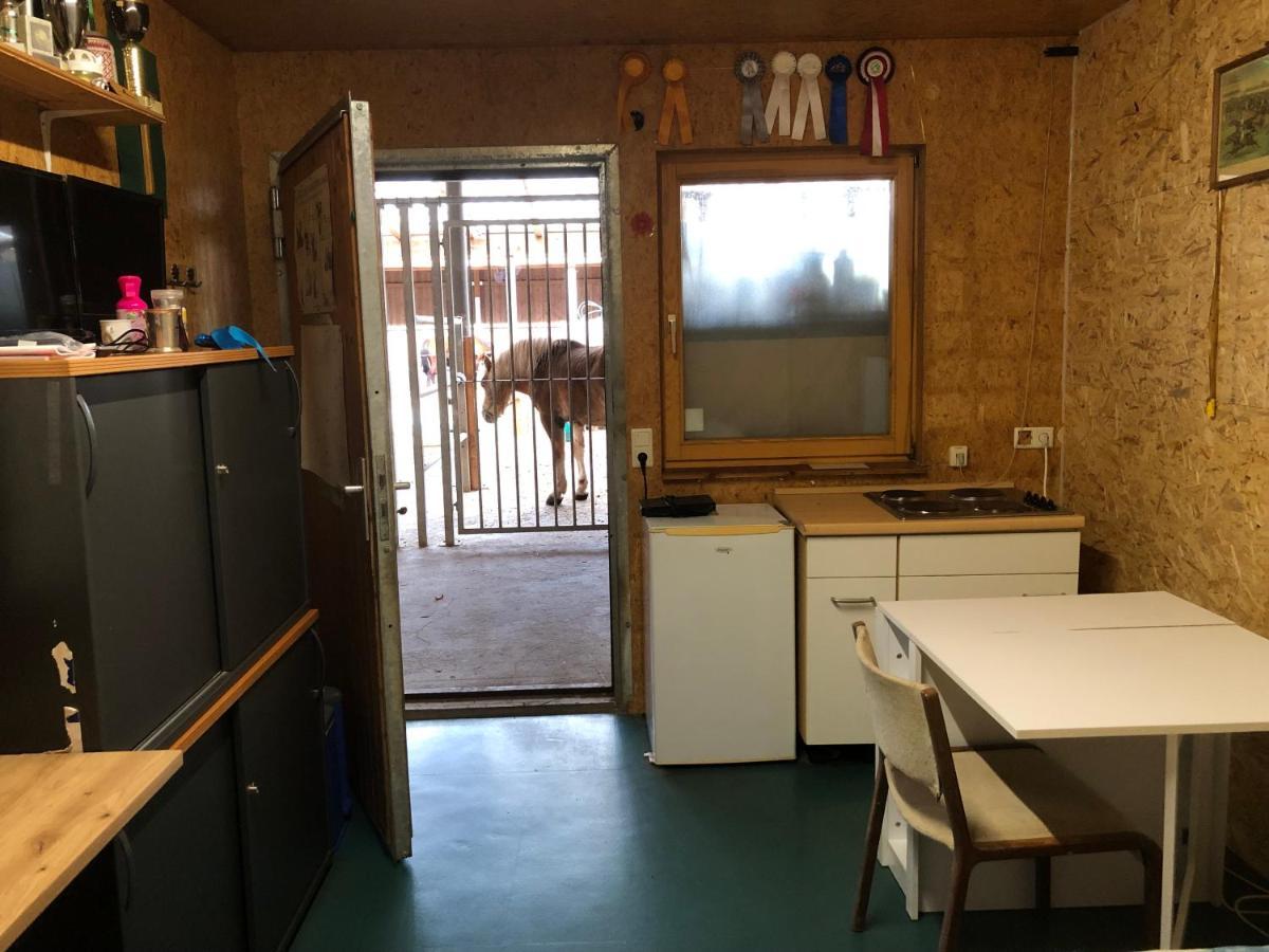 Reitschule Kronwitter Mainbernheim エクステリア 写真