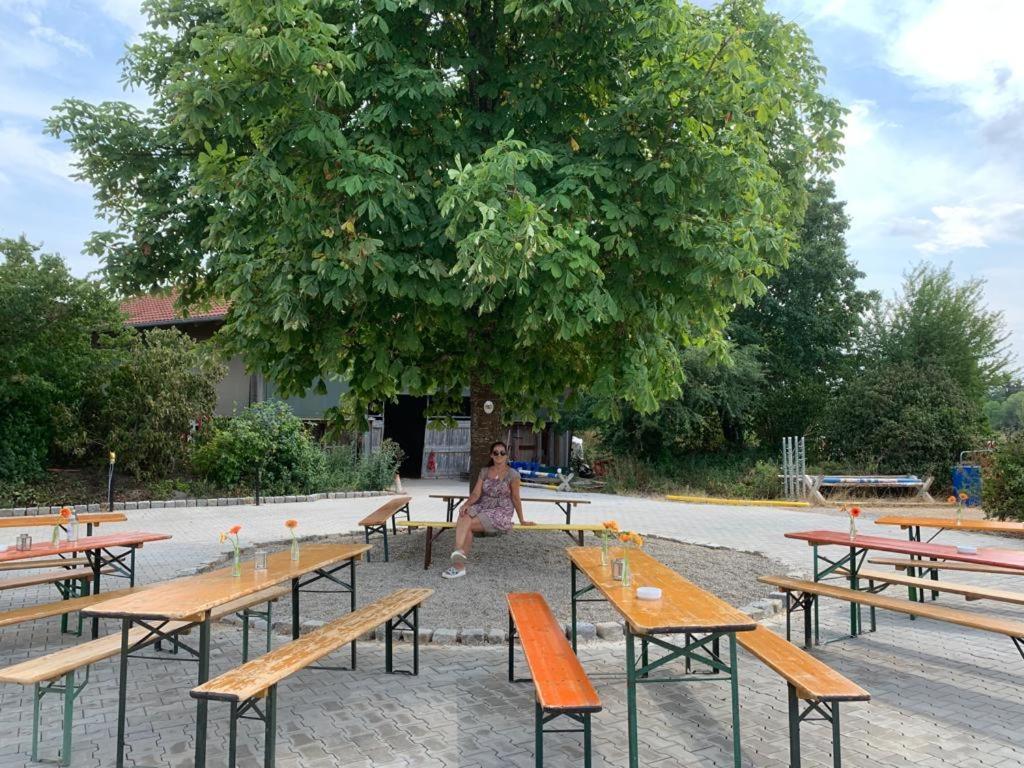 Reitschule Kronwitter Mainbernheim エクステリア 写真