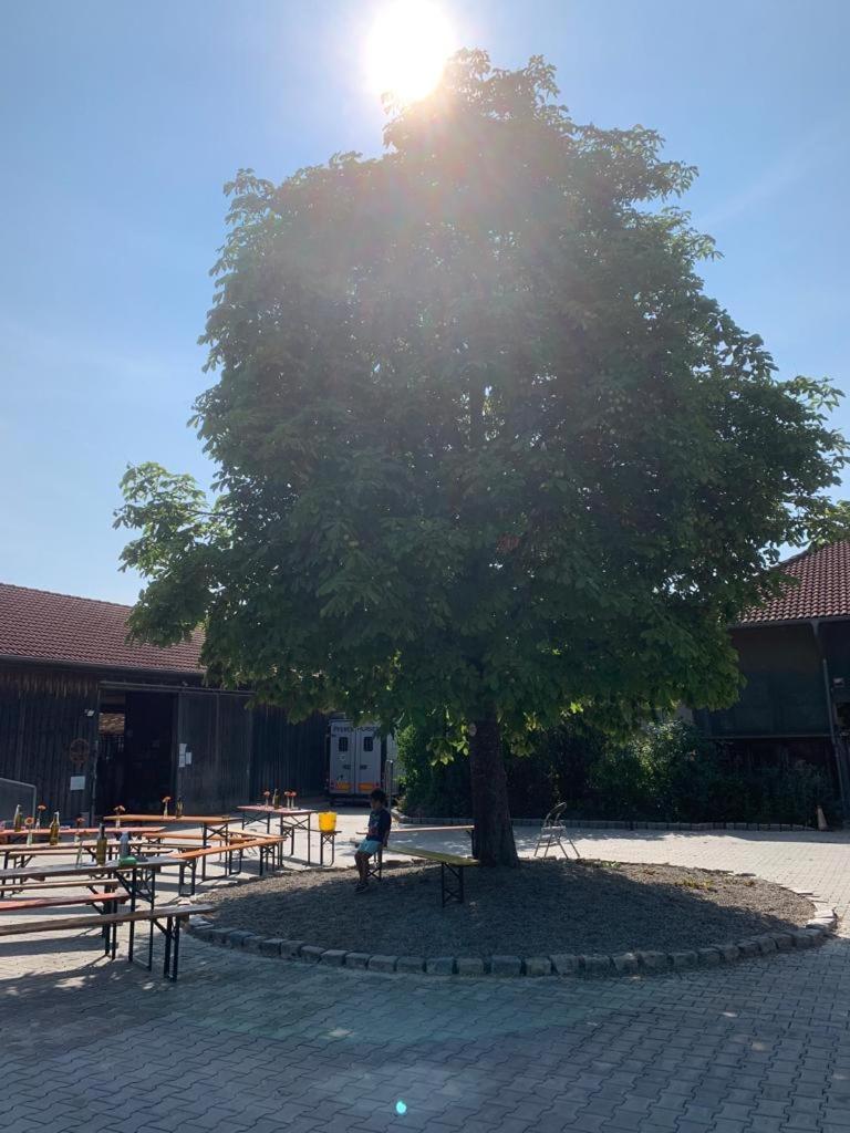 Reitschule Kronwitter Mainbernheim エクステリア 写真